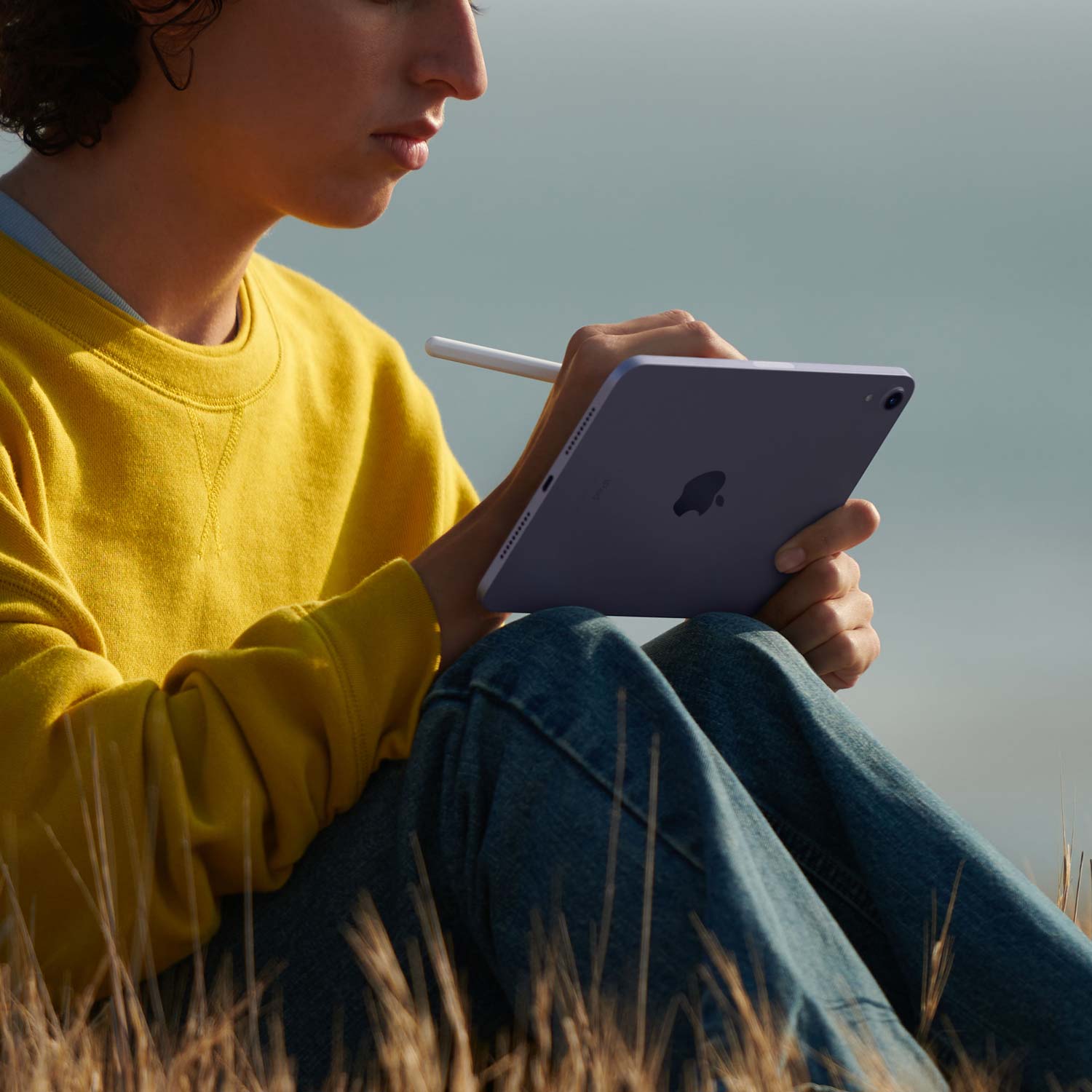 Apple iPad mini 8.3 Wi-Fi + Cellular 256GB spacegrau